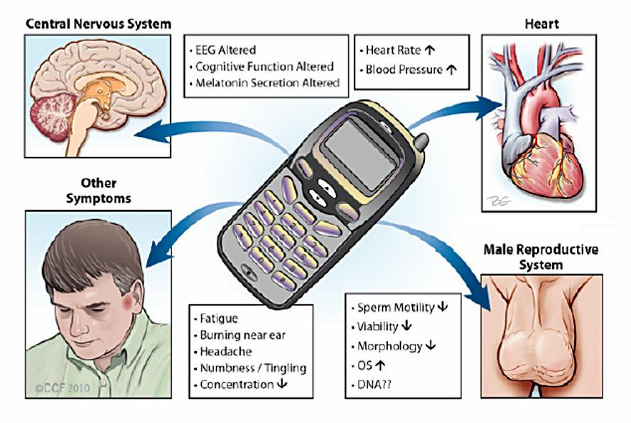Bahaya Radiasi Handphone bagi kesehatan manusia